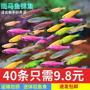 �ɹ���~���O���G���~����SɫС�ͻ��~��ˮ�~�Ꭷ�^�p�~���B