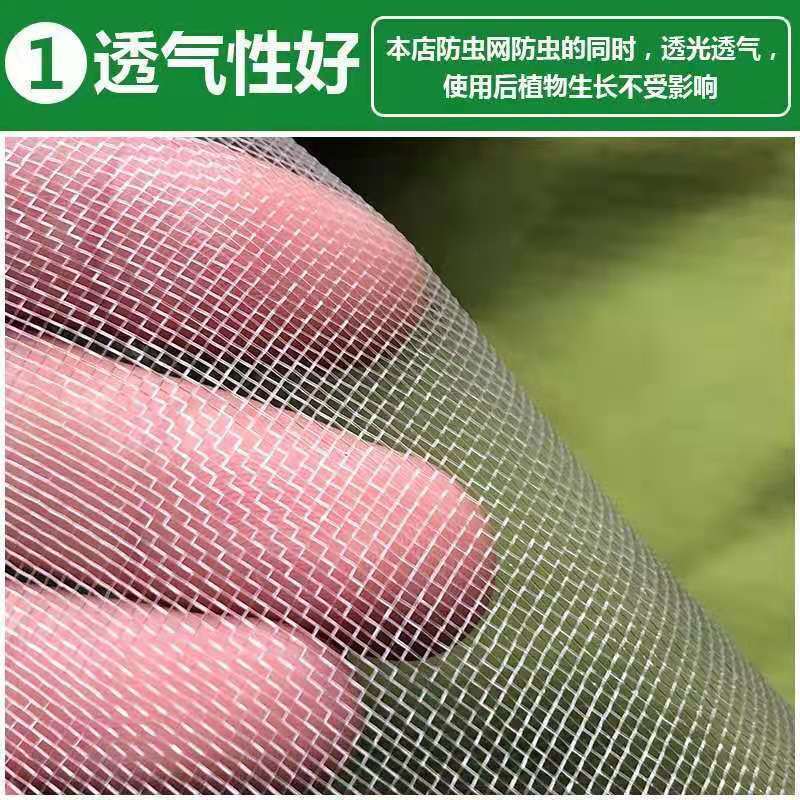 养猪场防蚊网大棚蔬菜防虫网养殖场防蝇网白粉虱罩莲雾网果园防虫