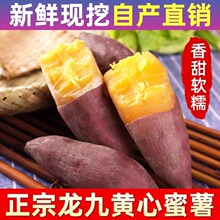 ���r�t����������ɳ�����ĵع��r���ԷN�����F���S������ɽ��