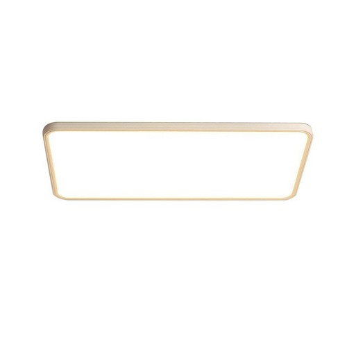 Full spectrum Puri seamless rectangular living room lamp led eye protection ceiling lamp simple modern room bedroom lamp