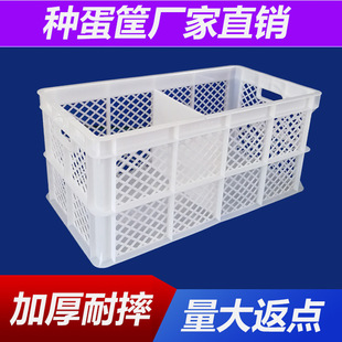 �F؛�N����Ӻ��u�����D���L�������ϵ���ָ��ռ{��S�����l