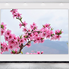 һһ\һDһ\D͏dճꮋzN