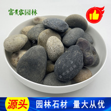 景观铺路杂色卵石 污水处理过滤料天然卵石变压器垫层8公分鹅卵石
