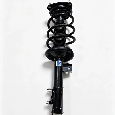 front shock absorber, damping system