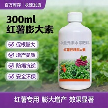 红薯控旺膨大素增产控上促下预防畸形防裂果高产红薯专用肥营养液