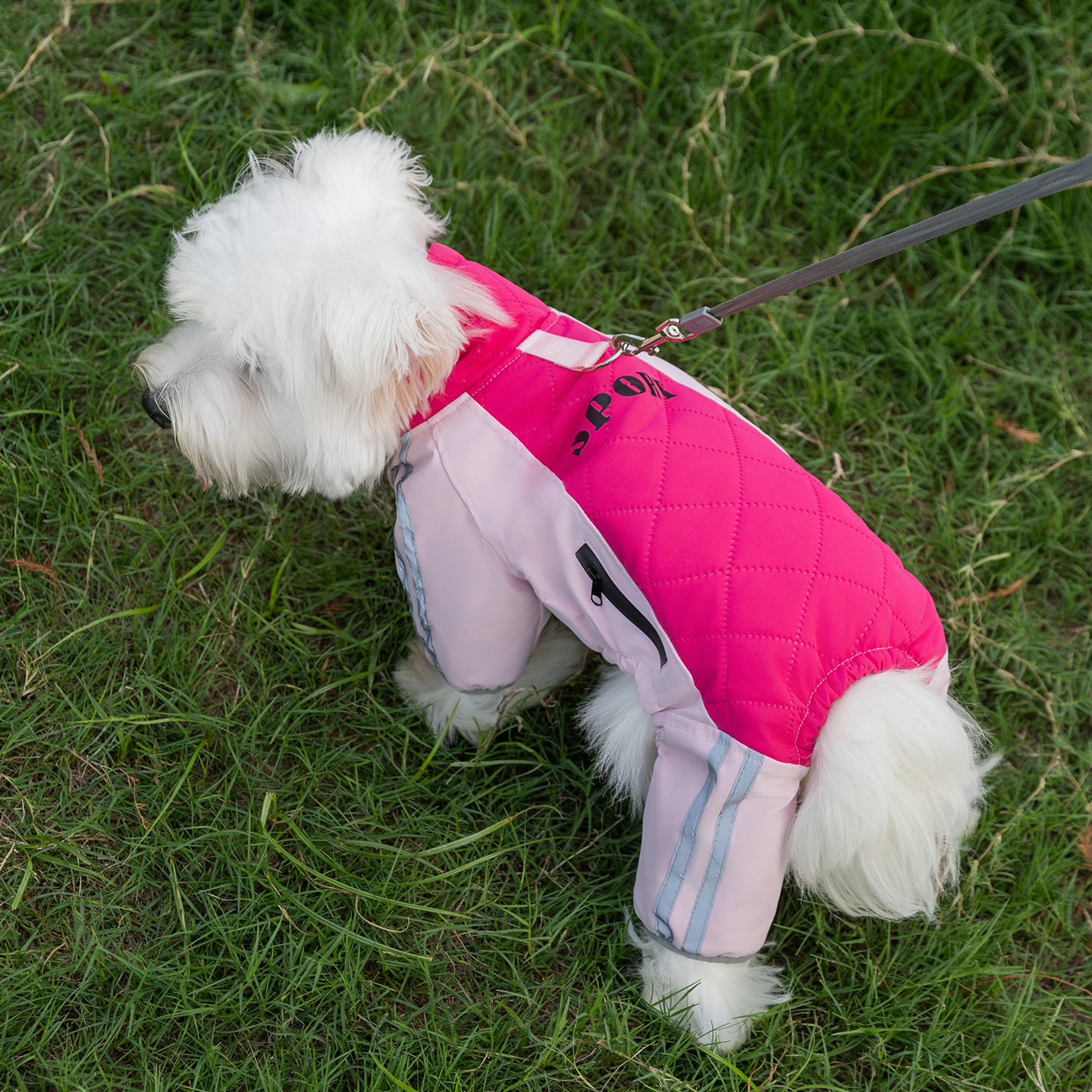 Otoño y invierno nuevo Aurora Shadow cuatro patas estampado de algodón de tracción perros pequeños y medianos perros gatos que osos ropa de mascotas