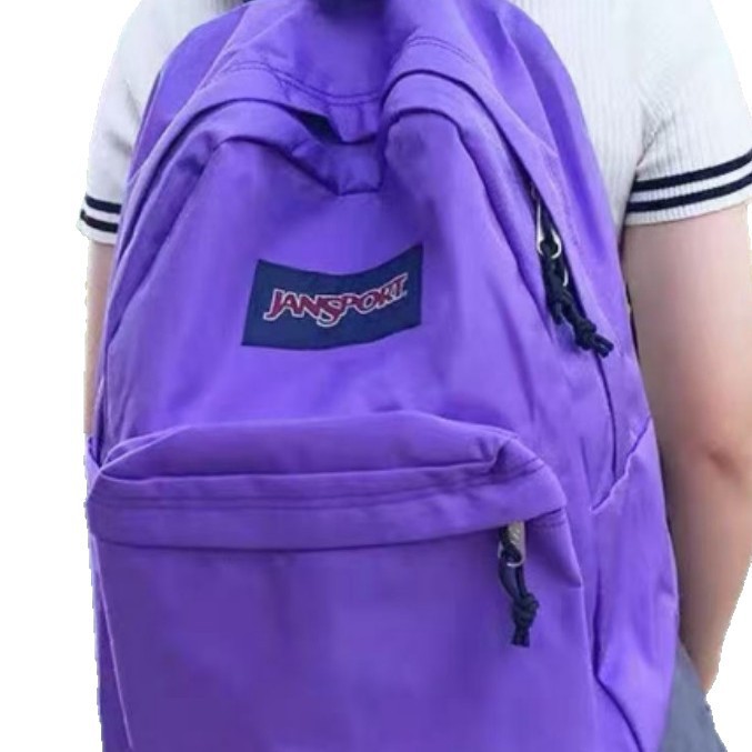 보라색 구획 모델