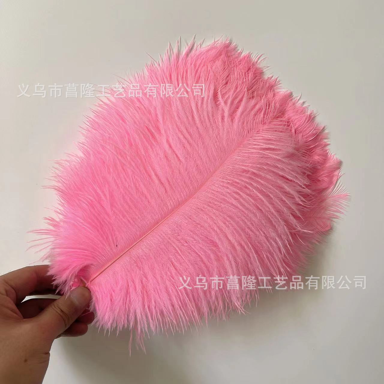 db447681127e98a0f682d6bdab8167