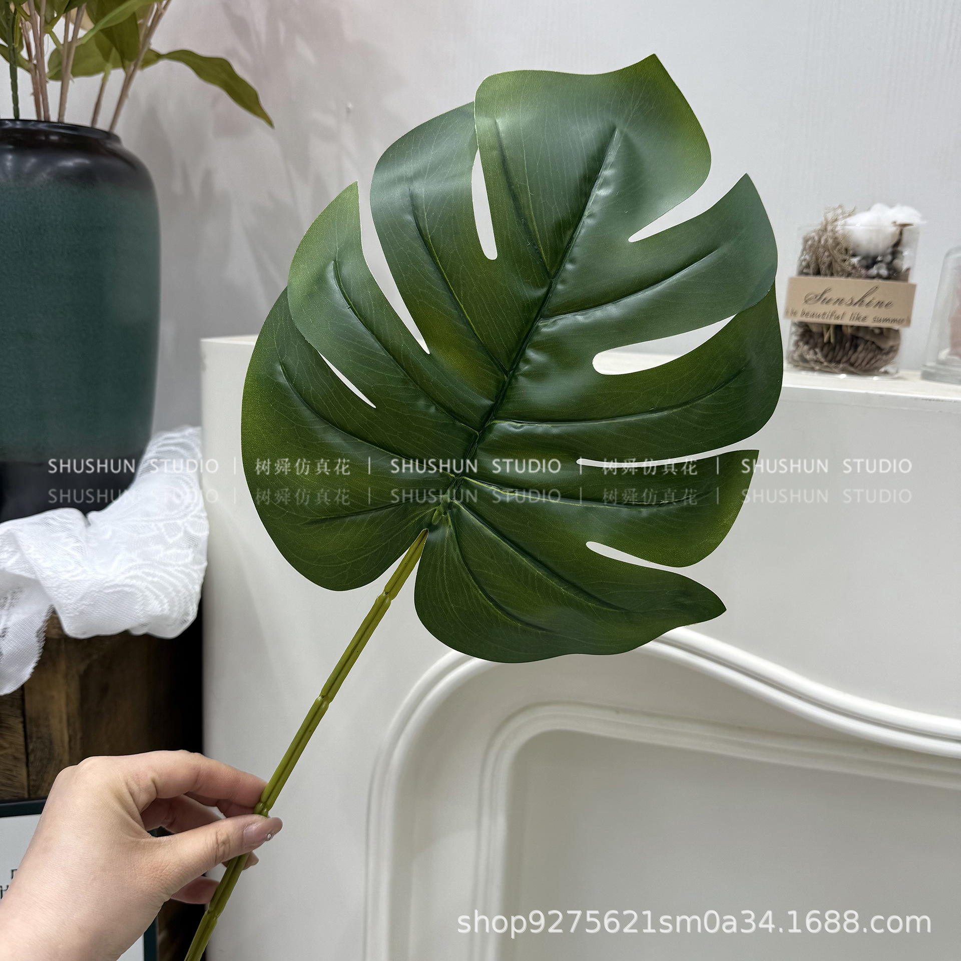 Hoja de tortuga grande de una sola rama