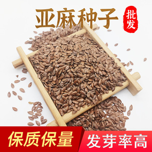 ���Ɂ���N����Ʒ�N����N�ӿ�ե������������s�Zʳ���ļ��׷Nֲ