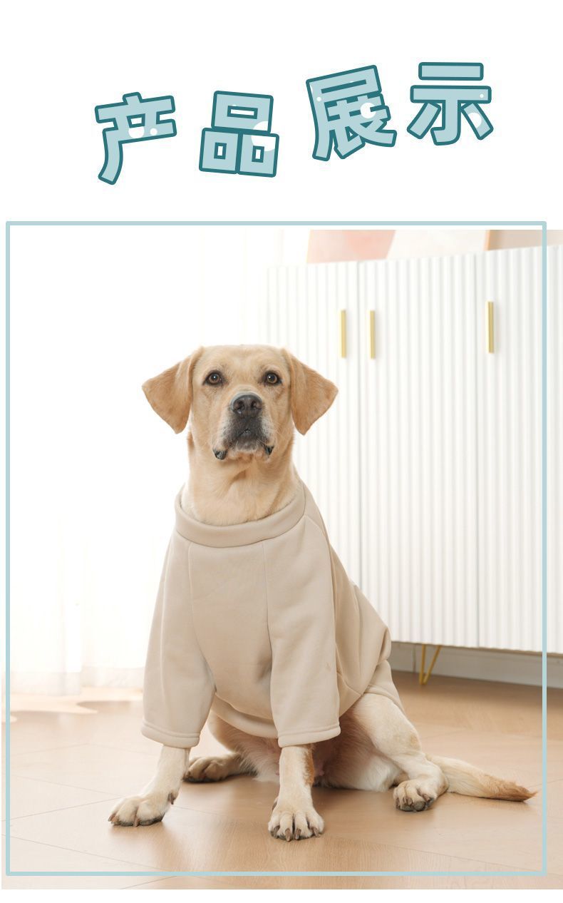 06930134-3a52-44f1-bf88-d64dc1b1f6b7.jpe