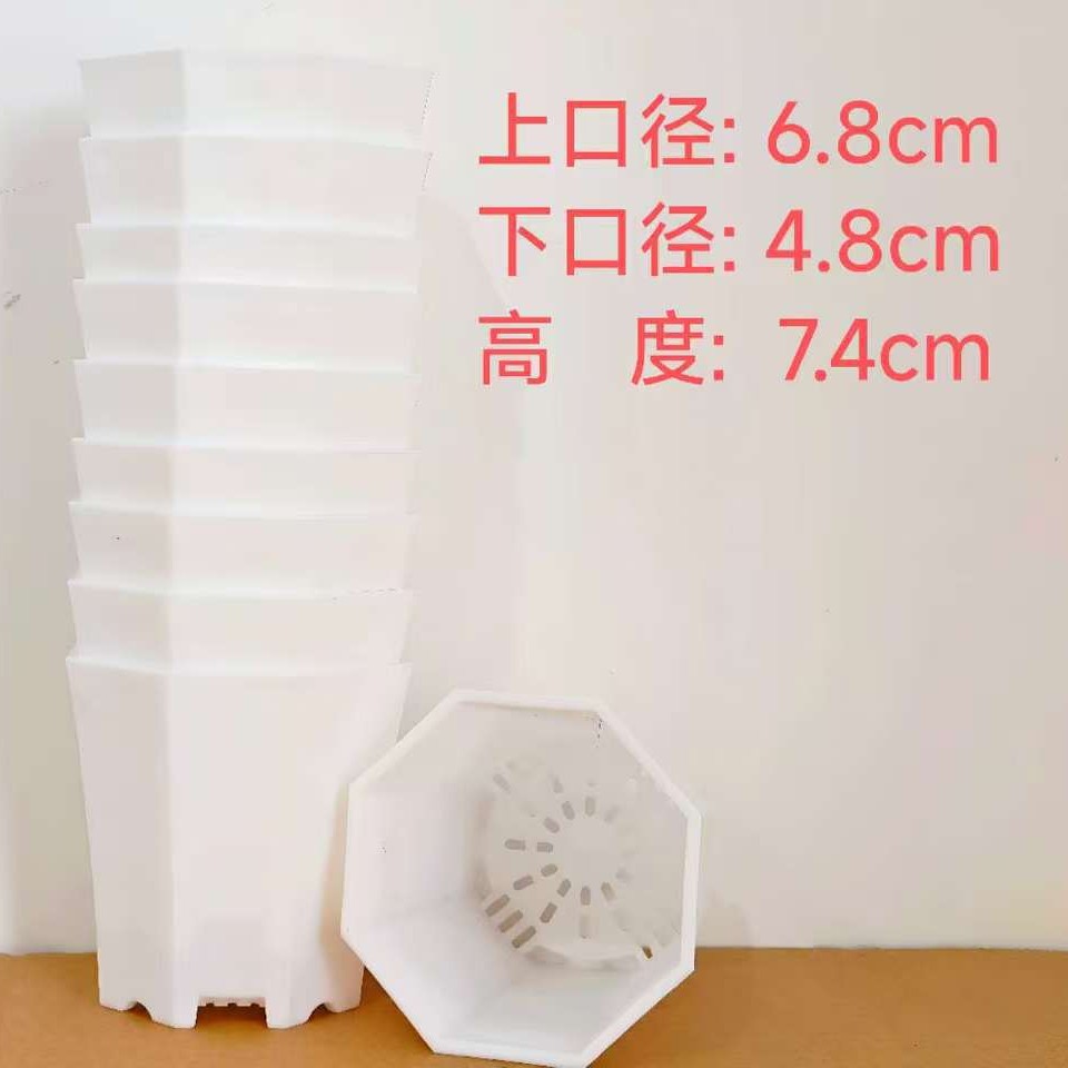 White Thickened Anise Fleshy Flower Pot Meat Small Potted Large Diameter Root Control Net Celebrous Resin New Plastic Flower Pot