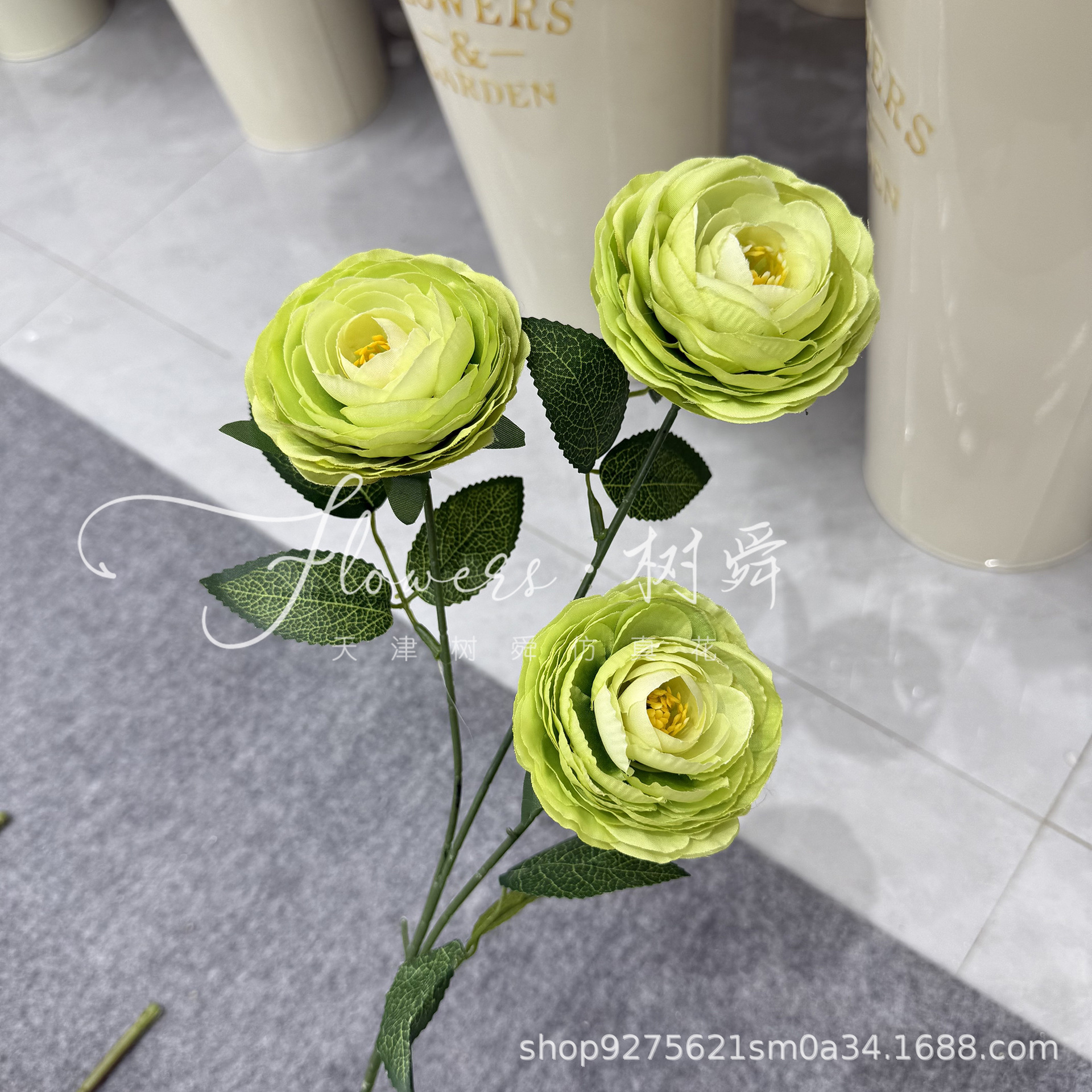 3 cabezas de miles de lotus-verde