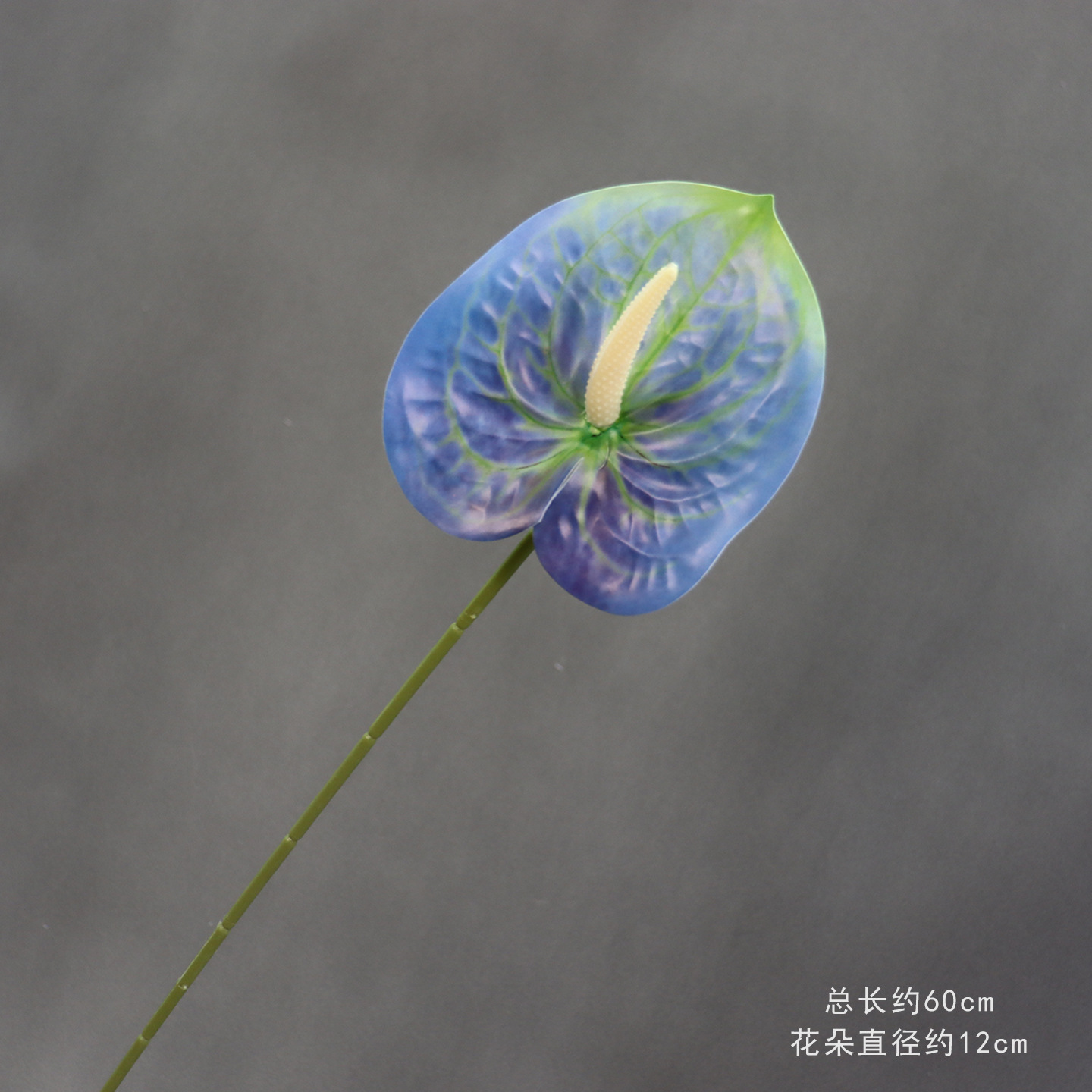 13호 3D 프린팅된 안스리움