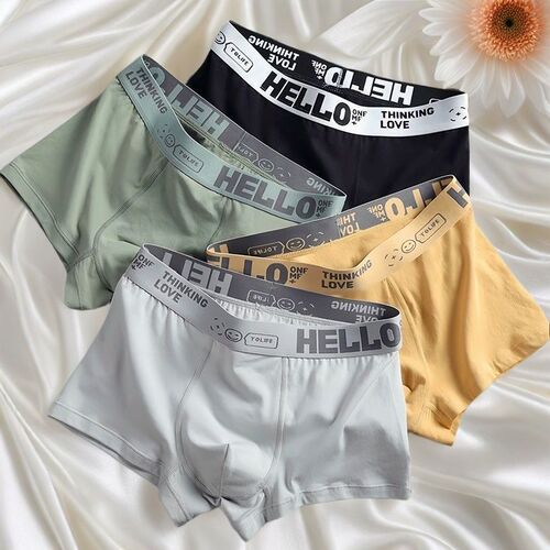 Fashion Underwear 2024 New Men's Antibacterial Letter Comfort Straight Leg Pant Youth Cotton Simple Four-Point Underwear