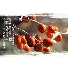 �½����헗�Ɨ������r����ᄽ�zС���½�����ƾ��헗���b��Ϟ