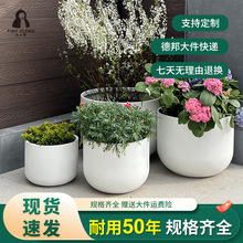 小斗篷玻璃钢花盆阳台店铺圆形花钵庭院办公楼户外种植器北欧风