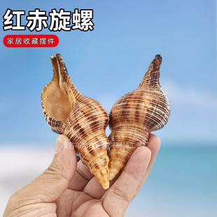 ��Ȼ����ؐ���t����� �t������ ˮ���~���쾰 �Ҿә��������b�