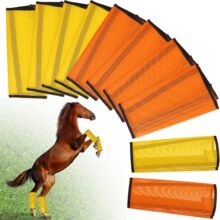 �S�ҬF؛��l�Rƥ�W���ωѥ�R�g��Ʒ�����o���R����Ʒ��8PCS��