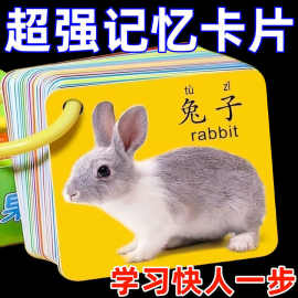 宝宝撕不烂有图识字卡儿童双面腹膜拼音汉字数字启蒙早教认知卡片