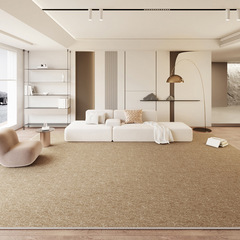 純色客廳地毯侘寂日式高級圈絨免洗可擦防水簡約茶几家用臥室地墊
