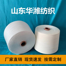 ]DTY FDY250221X PETȼȫ⣩ PTT()