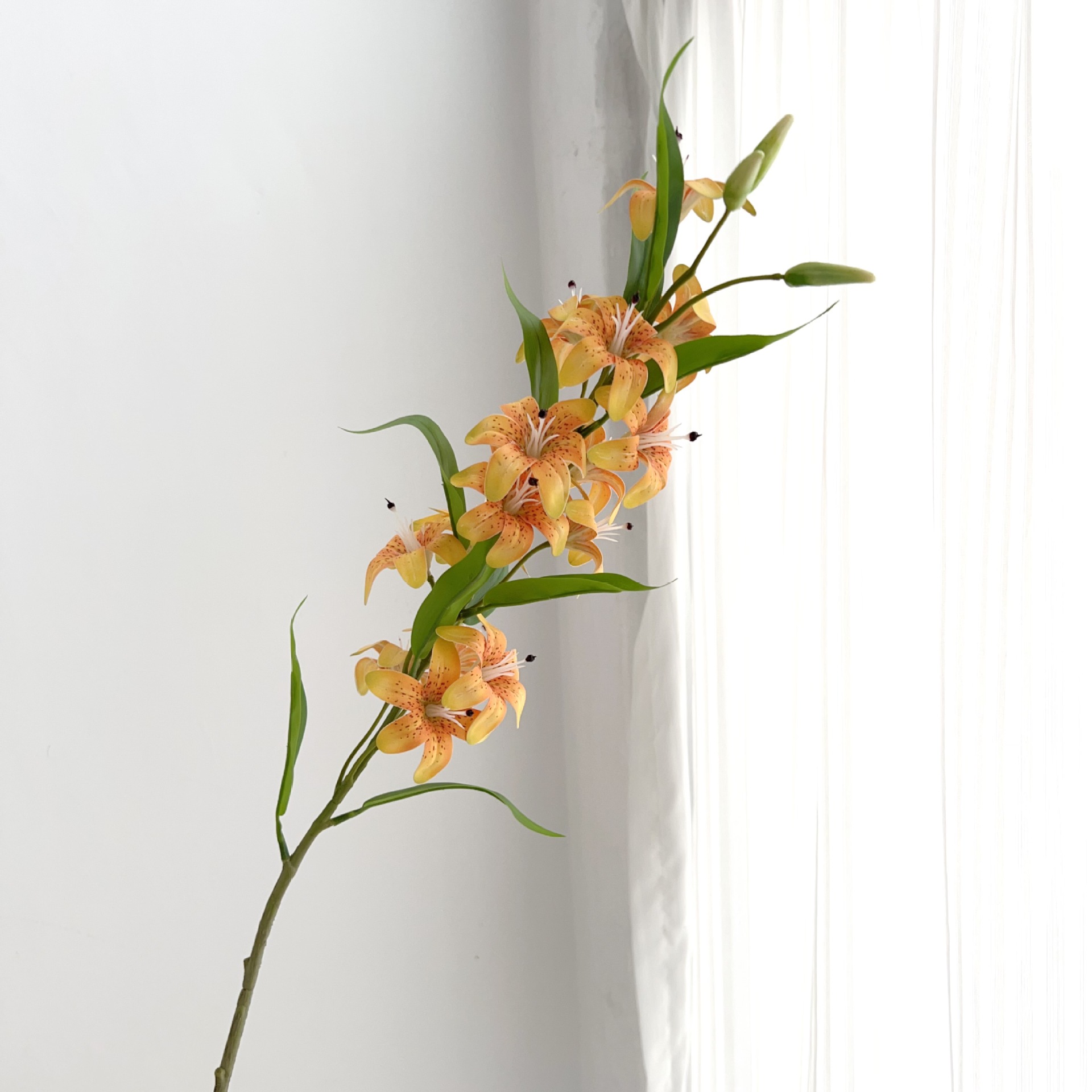 노란색 느낌의 사유리