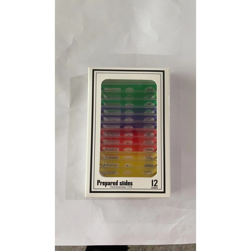 색상 표본 (영어)