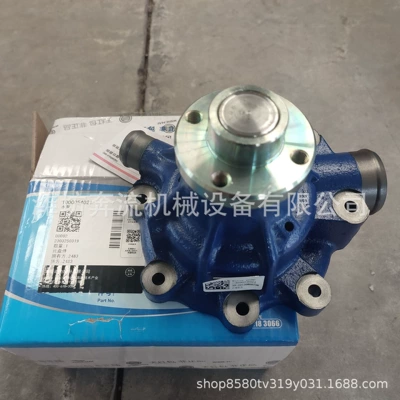 1000054021 Water Pump Weichai Water pump