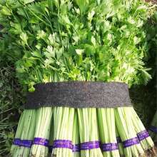 �ļ�С���۷N�Ӵ�ȫ����۷N�ь����S�ۼ�������߲˷N���r��