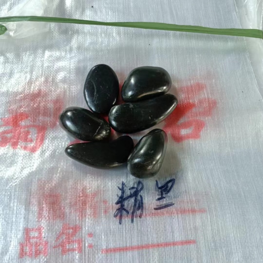 微信图片_20220630091831