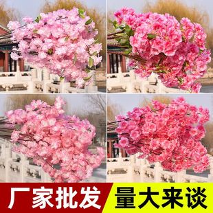 ����ѻ�֦�ѻ����c�����҃��b͏d���ҵ���һ�֦�ٻ����ϻ�