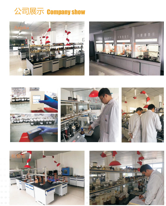 公司展示1 - 副本