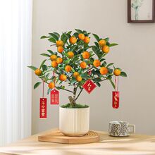 ��ۘ�����ֲ���҃��ļ������辰�͏d��ʳ�ý��٘��玧�������Gֲ