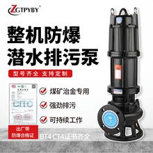 防爆污水泵BT4化工工厂专用WQB防爆潜污泵CT4整机防爆潜水排污泵