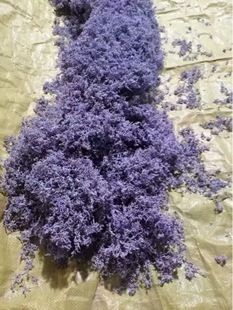 ���ҽ����Ϫݮ���Ͻ�ݮ��ɫݮ��é��ݮ��ù���ٲ�