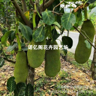 ���}�ۘ����޽ӹ�������ļ�ˮ�����҃���ͥԺ���ԷN���ͺ���ɏ