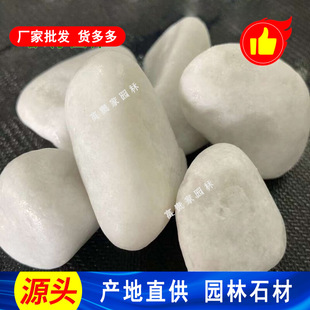 �C����ʯɢ䁰�ʯӢ�iʯ�I ����ɳ��ɳ���ð�ɫ�Z��ʯ2-4cm