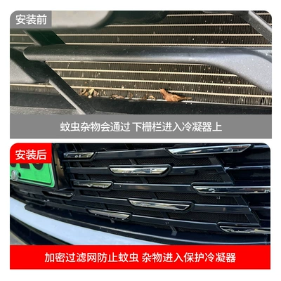 Catkin Removed, Automobile anti-insect net