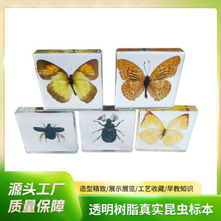 �羳�������zչ�������֬��ˇƷ��ͯ�̌W�b[���挍���x�[��