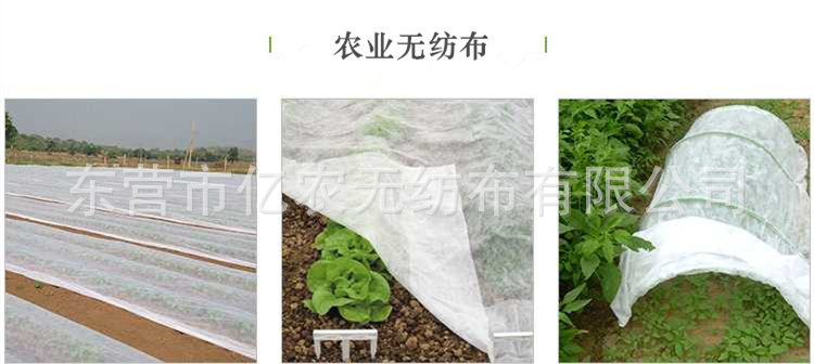 O1CN010hKG901bWgVmU0ikr_!!2924243473-0-cib.jpg?__r__=1722236131955