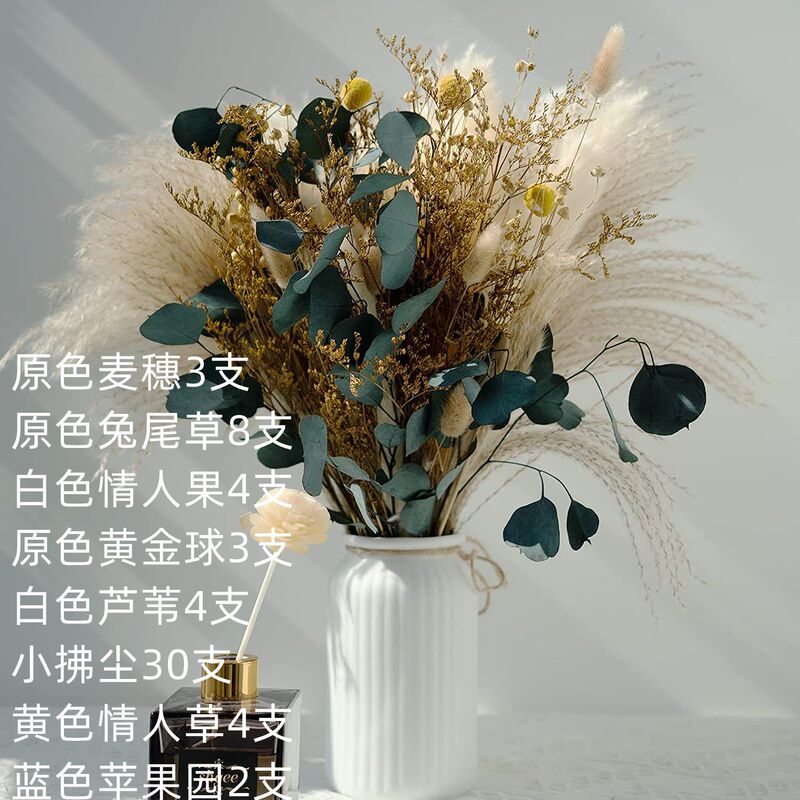 アマゾンはよく売れています。葦の花の花束です。|undefined