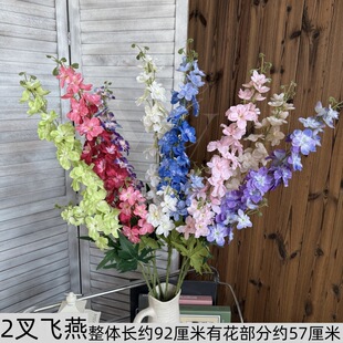 2���w�����ߴ�ɫ���w��ݷ��滨�����_�mǧ���m��Y���Ż�