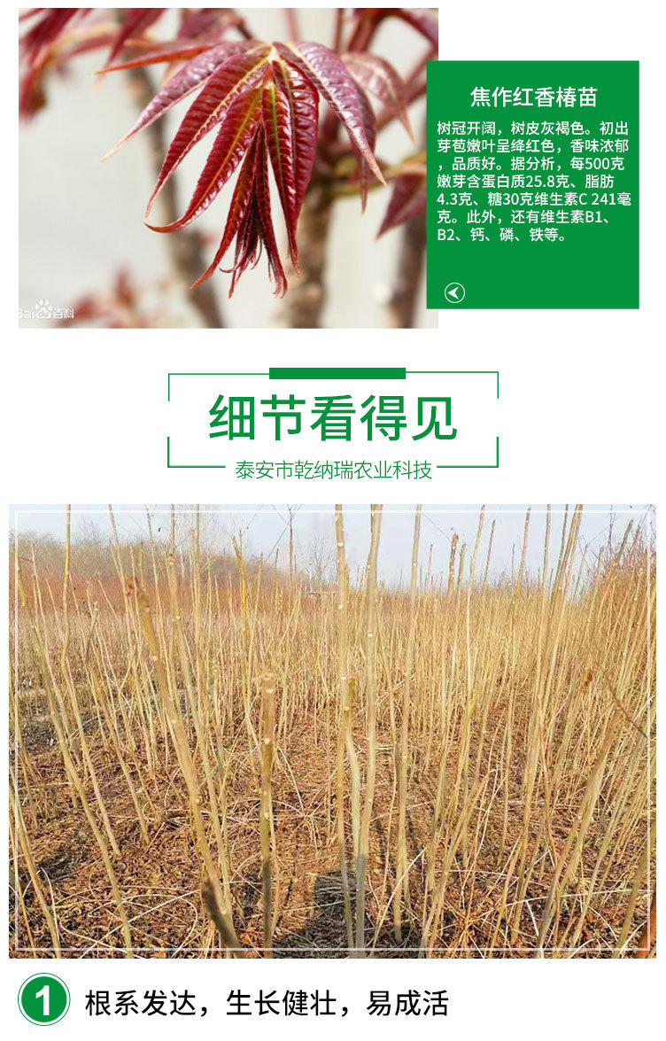 O1CN0100mRgP2CJ4KfN9dHt_!!2970