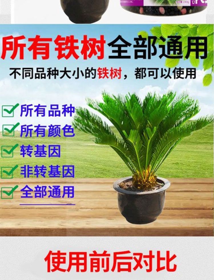 468fc3a8-7874-41d9-b2b1-c95dfeaf8e3b.jpe