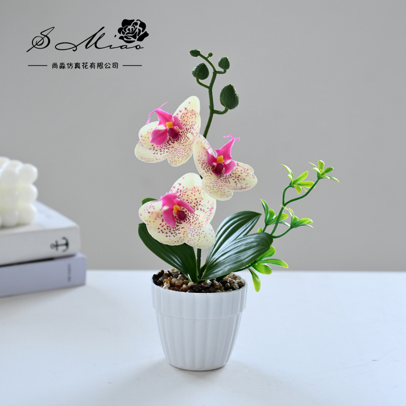 Simulación de flores pequeñas cuatro flores orquídeas mariposa fábrica de bonsai directamente para flores artificiales adornos de decoración interior flores de seda imitación en maceta image 18