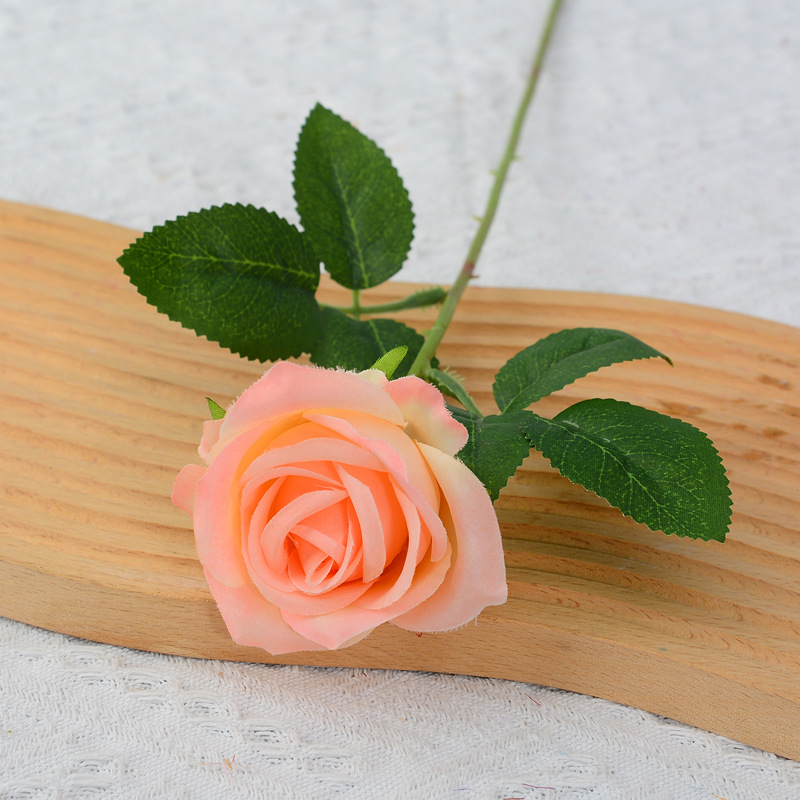 Champagne powder (silk cloth)