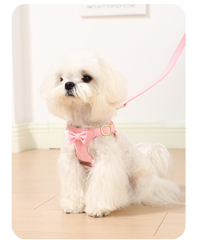 Durable Dog Harness And Lead Set With Seat Belt For Pet Safety_voghion.com