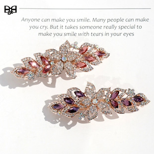 �؃r���l�W���羳����Ʒ���䏗�ɊAˮ荰l�A���Q�l���Ӱl��^�