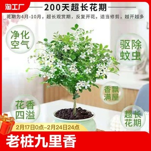 ˮֲϘļǧ҃_ܾGֲƷ